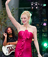 239.jpg